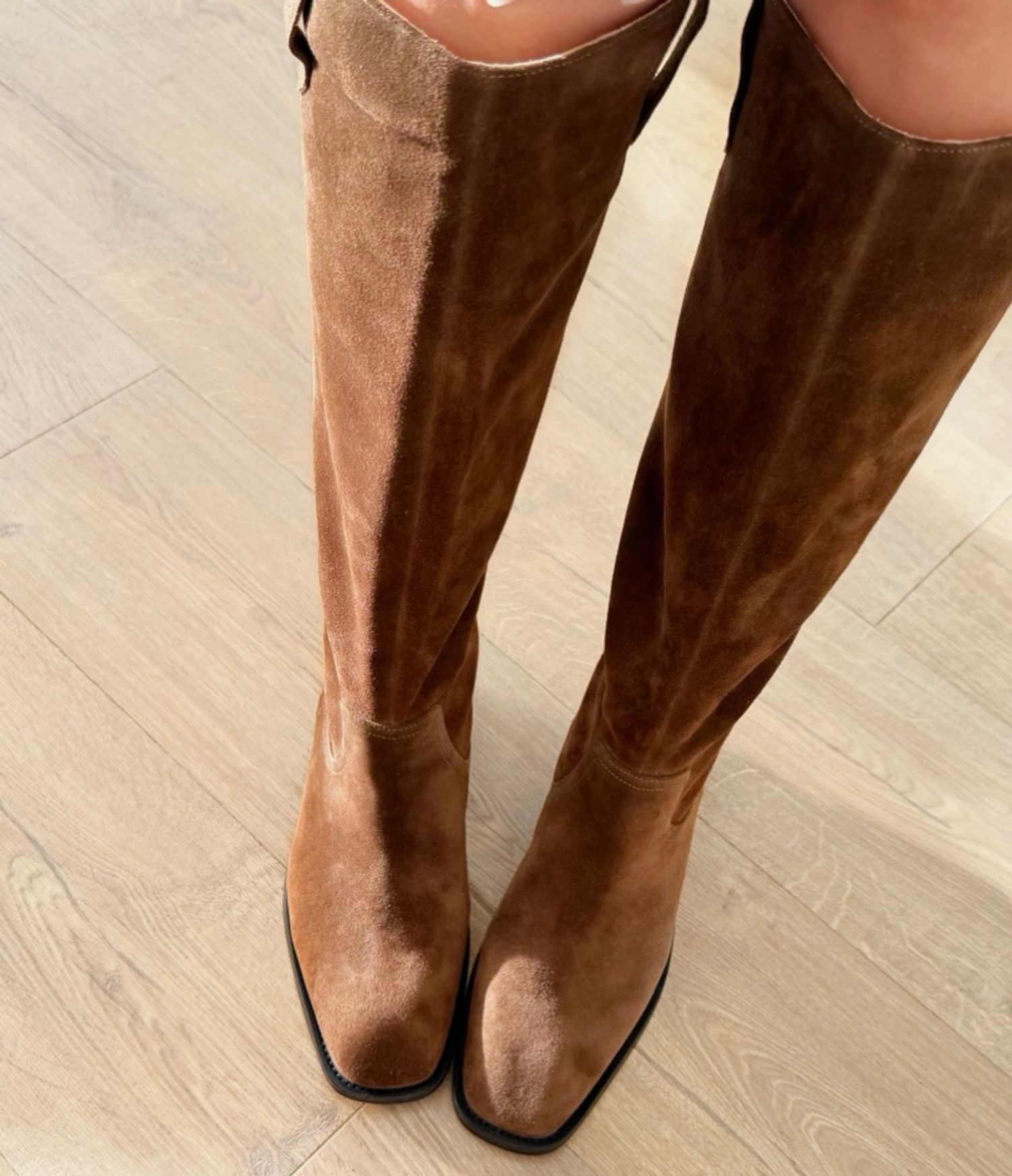 Бэлэн Stivale бор