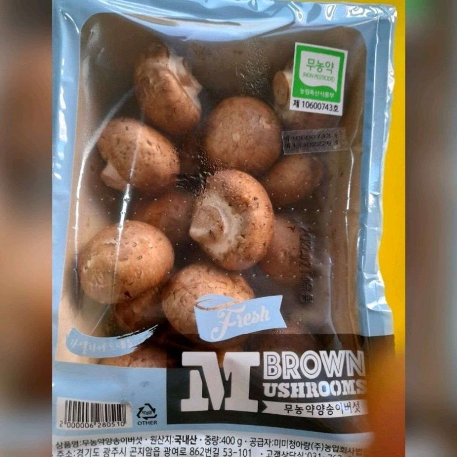 Бор мөөг / brown mushroom/