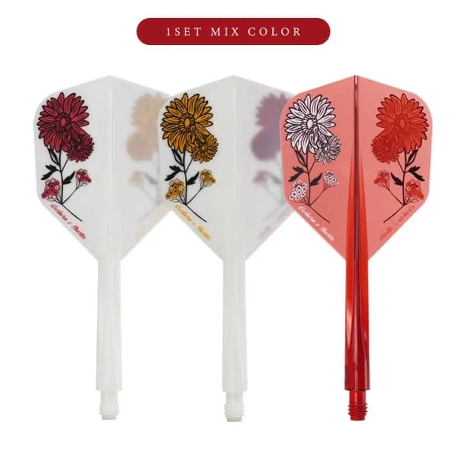  CONDOR AXE GERBERA＆STATICE FLIGHTS - Small - Mix