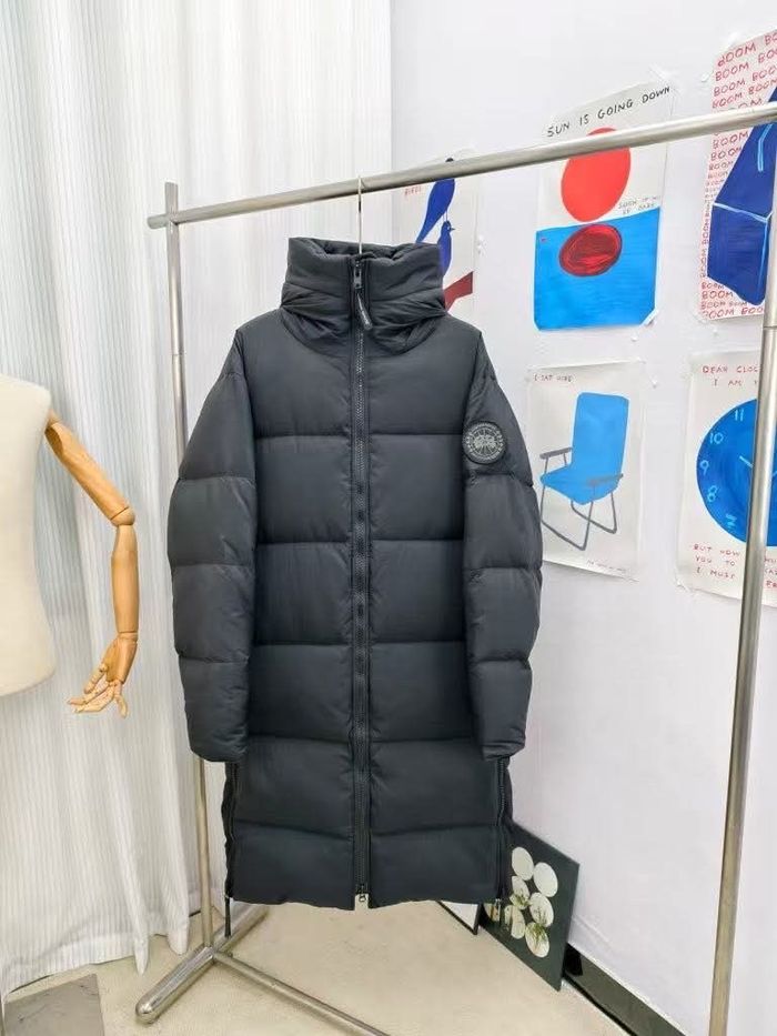 J62 Ganada goose