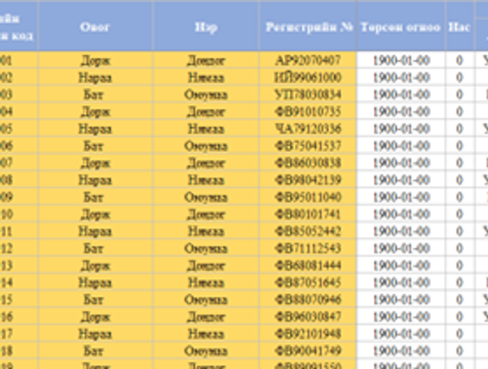 Ажилтны бүртгэл мэдээллийн сан-МАСТЕР ДАТА
