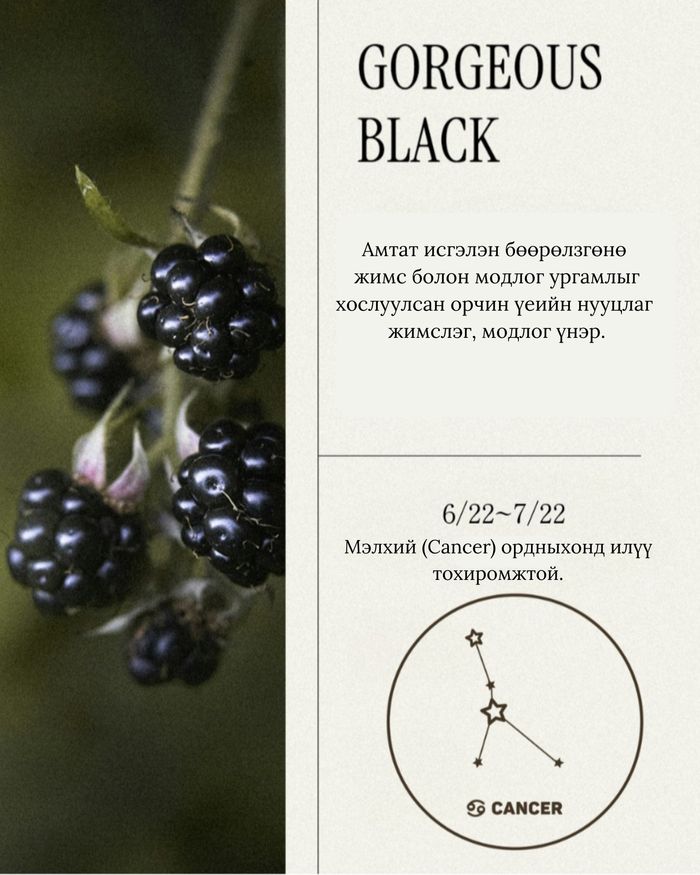 Perfume Hand Cream 50ml Gorgeous Black