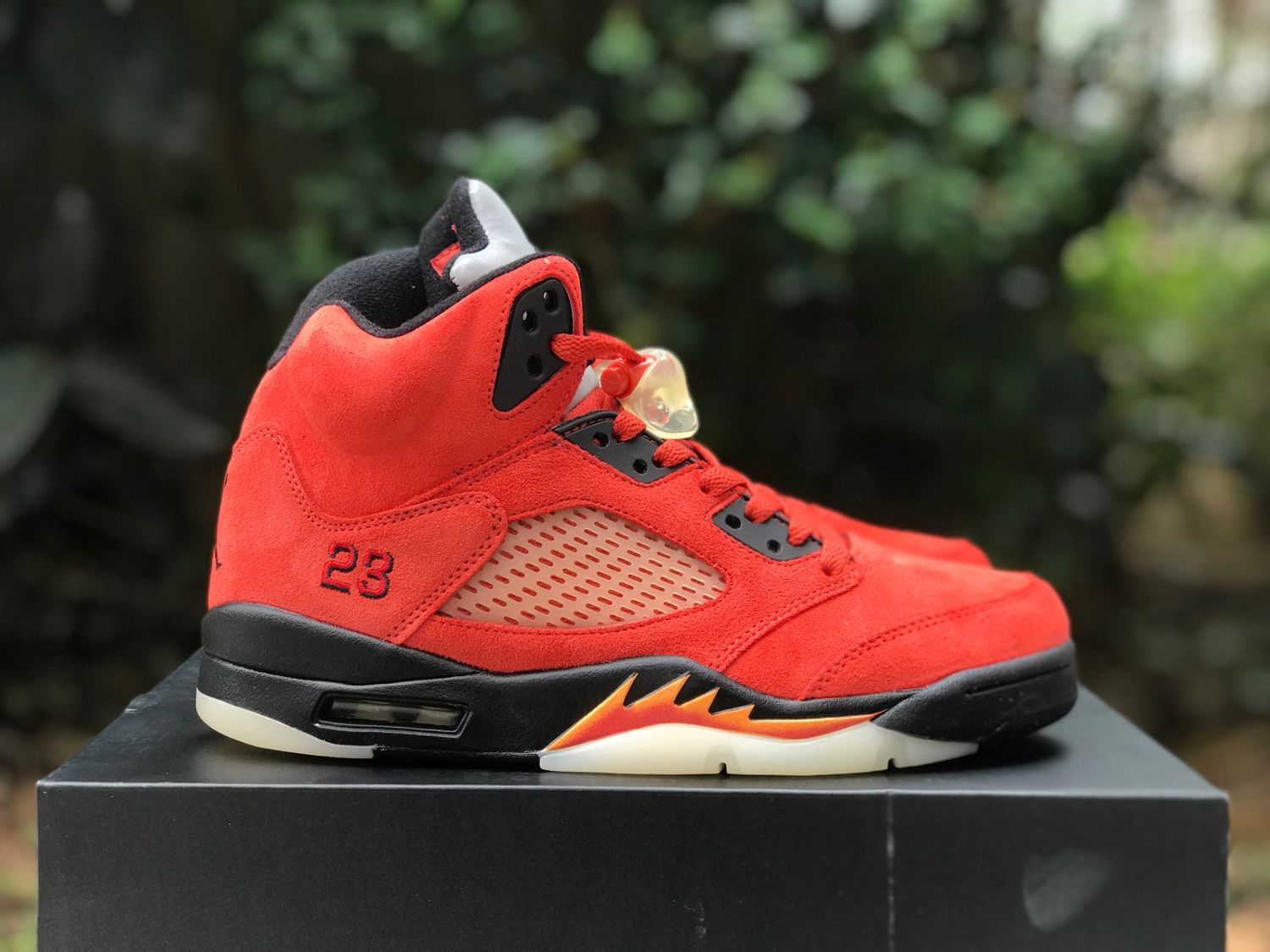 Air Jordan 5 WMNS “Mars For Her” 