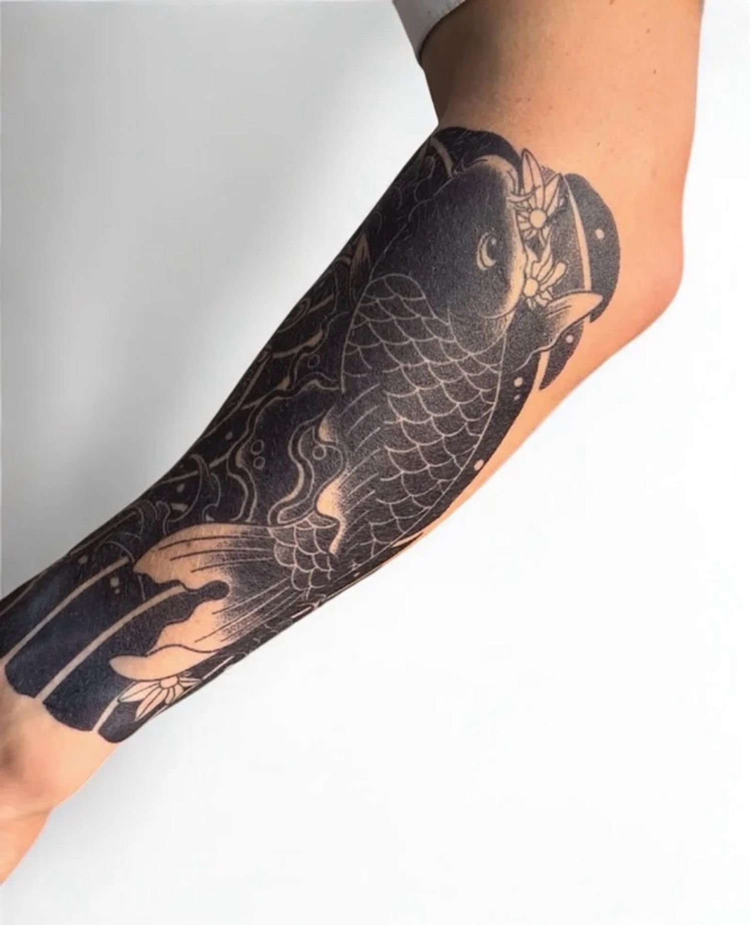 Кой загас Усан шивээс