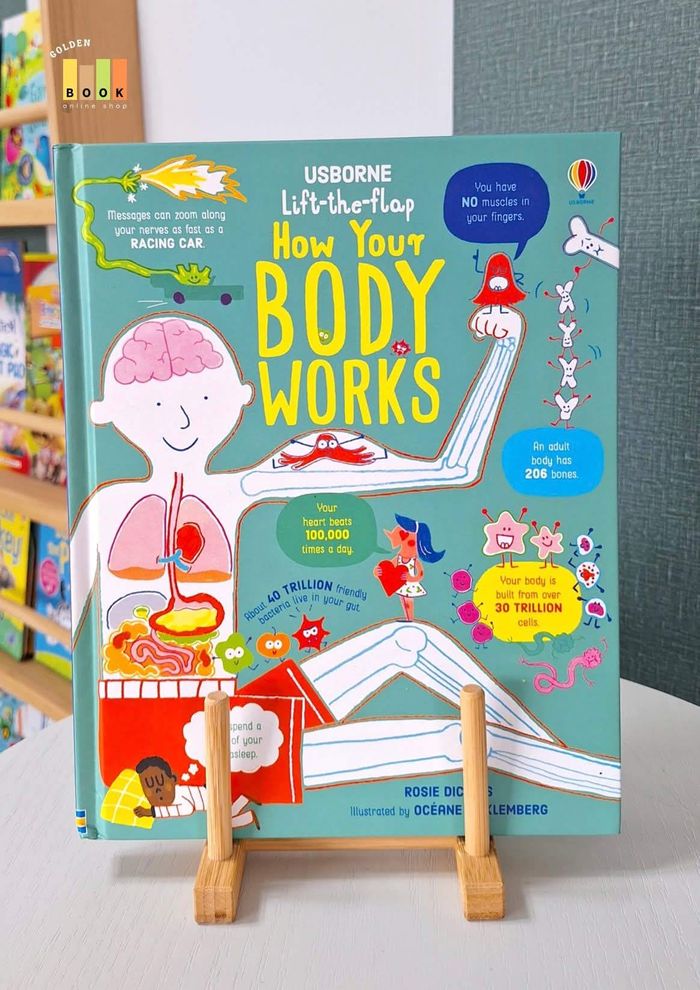 How Your Body Works