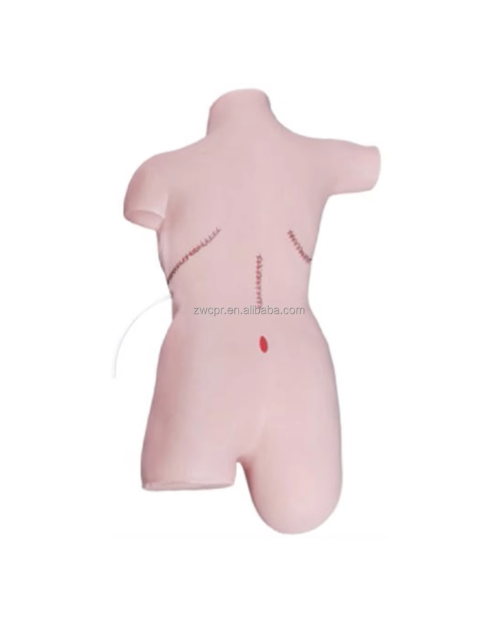 Мэс заслын шархны арчилгааны загвар