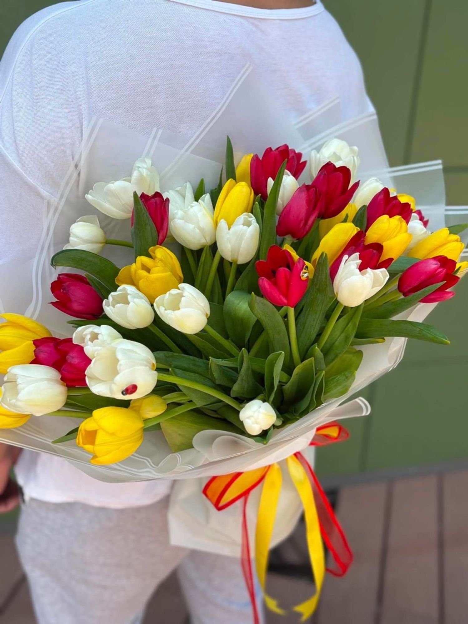Голланд алтанзул 