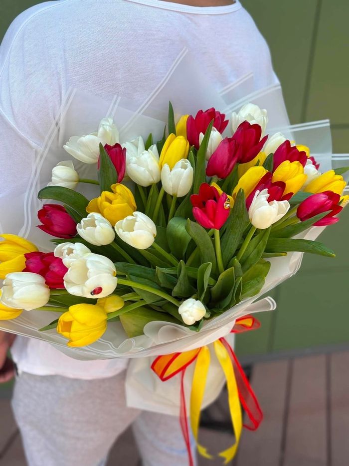 Голланд алтанзул 