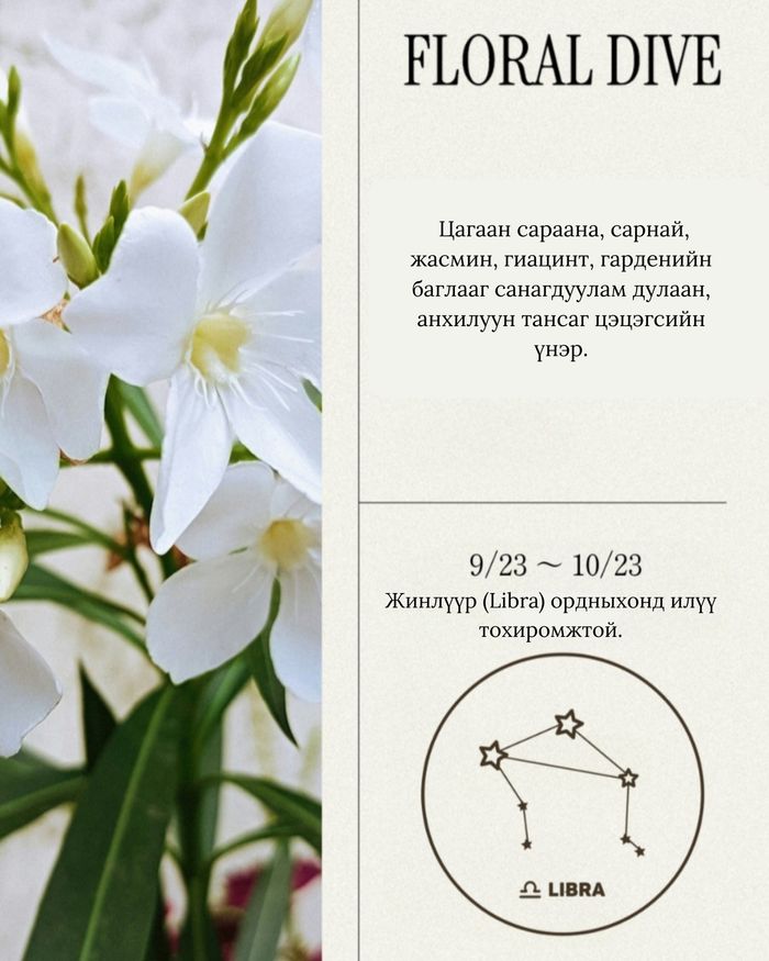 Perfume Hand Cream 50ml Floral Dive