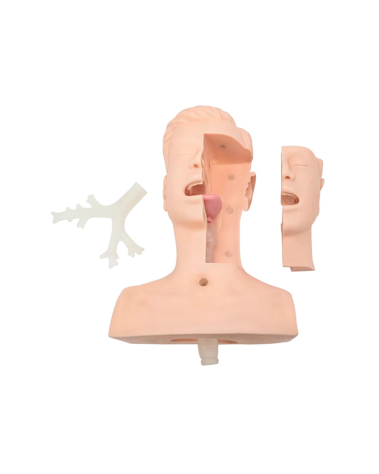 Цэр соруулах дадлагын загвар