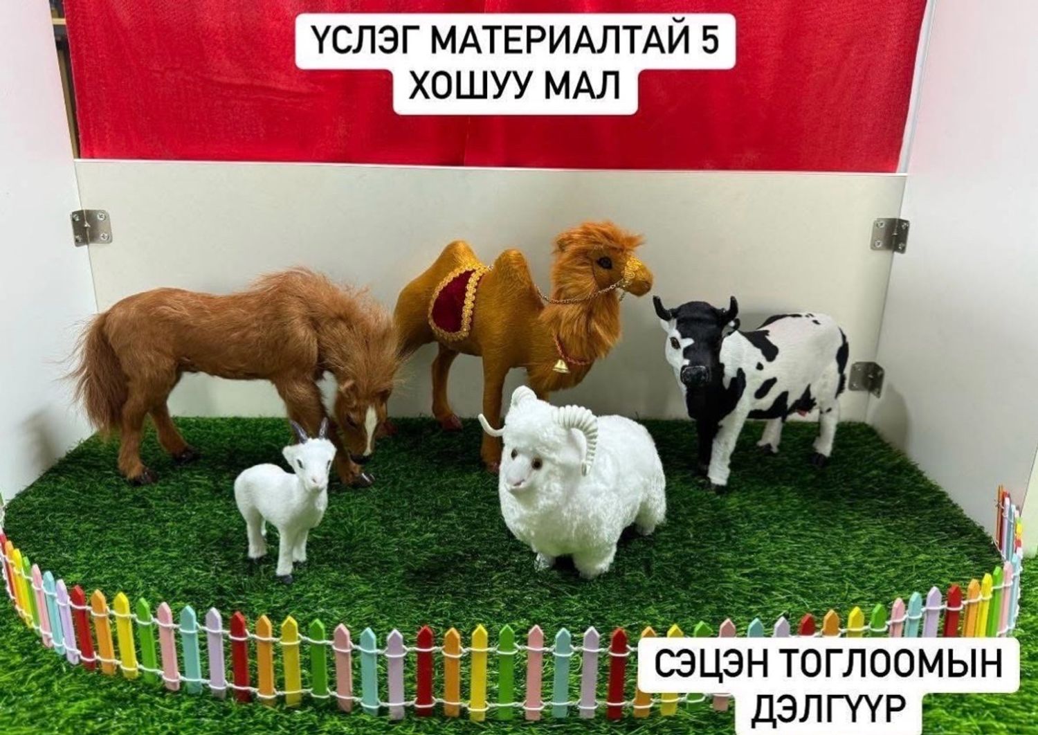 Таван хошуу мал /үслэг/