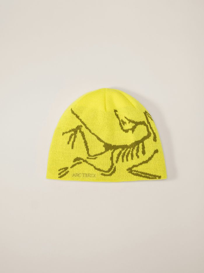 Arc'teryx | Bird Head Toque