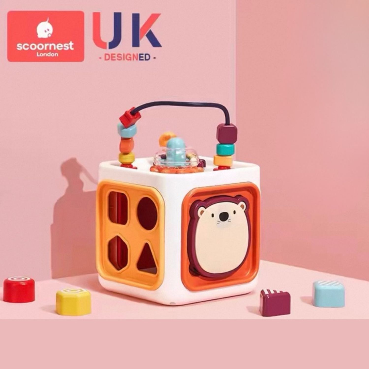 Олон талт куб