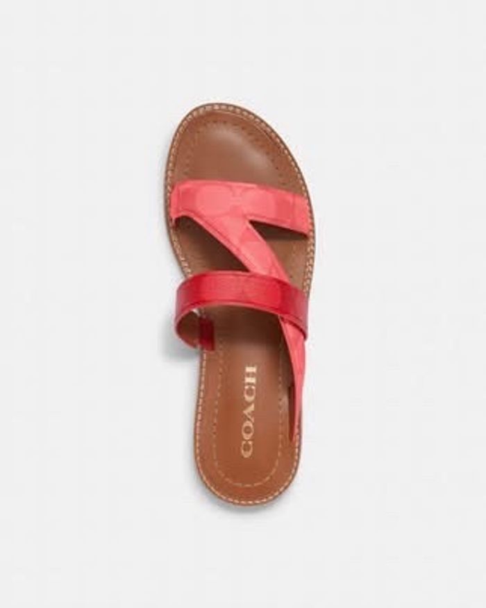 COACH Harlan Sandal women