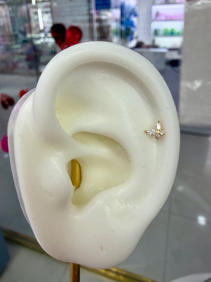 Эрвээхэй piercing 