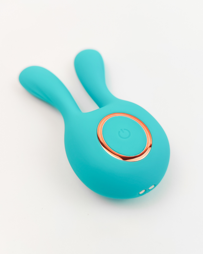 Little rabbit