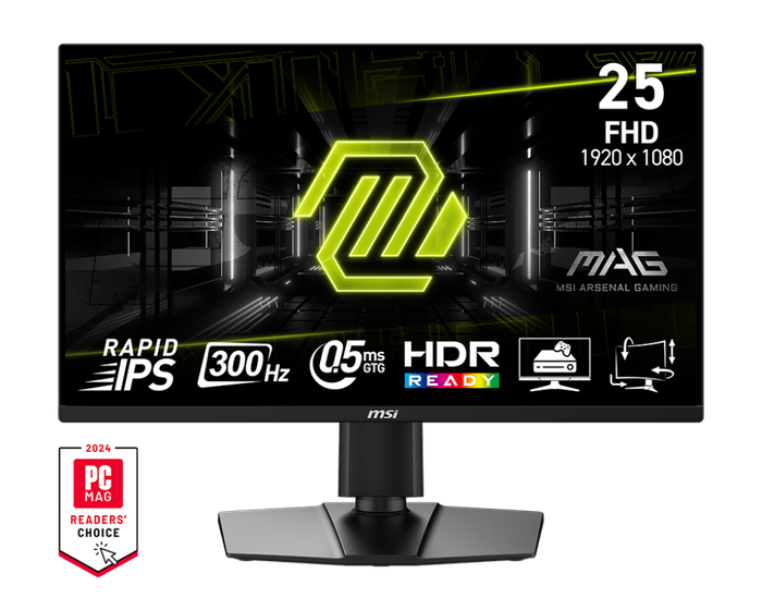 MSI MAG 255PXF 24.5 Inch FHD Gaming Monitor  300 Hz / 0.5ms 