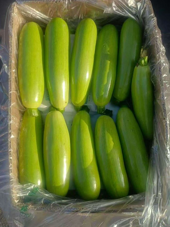 Хулуу