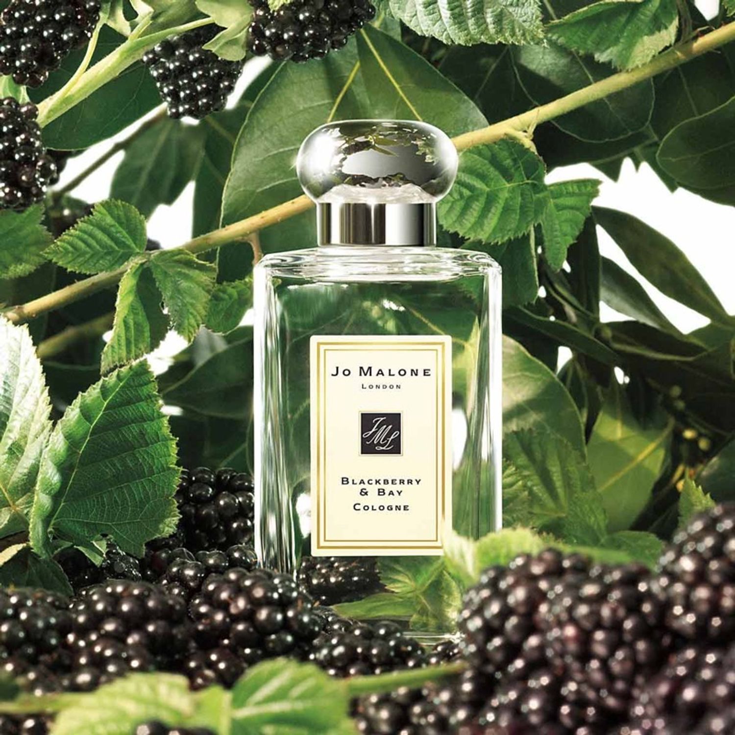 Jo Malone Blackberry and Bay 
