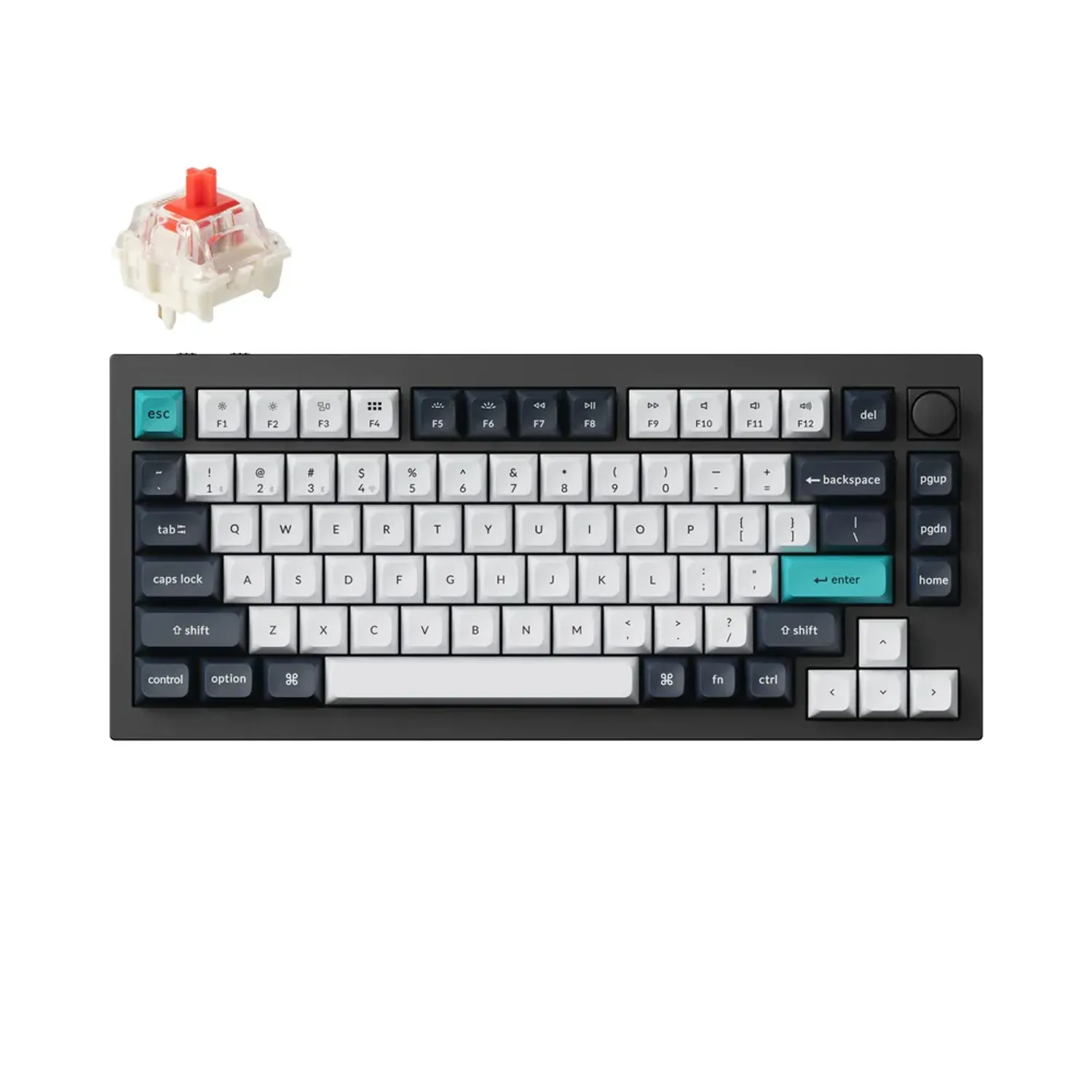 Keychron q1max knob RGB赤軸 Amazon.com: Keychron Q1 Max RGB QMK/VIA Custom Mechanical
