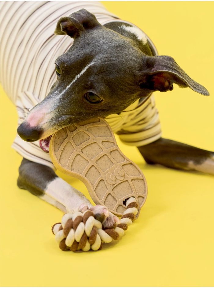 Peanut Chew Toy