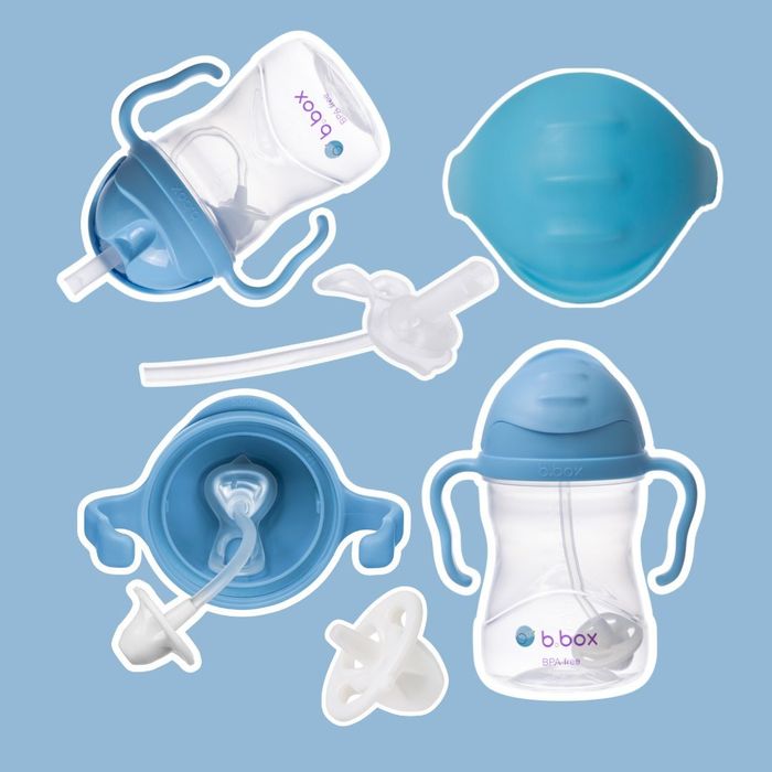 240мл Хүндрүүлэгчтэй усны аяга / Sippy cup - blueberry