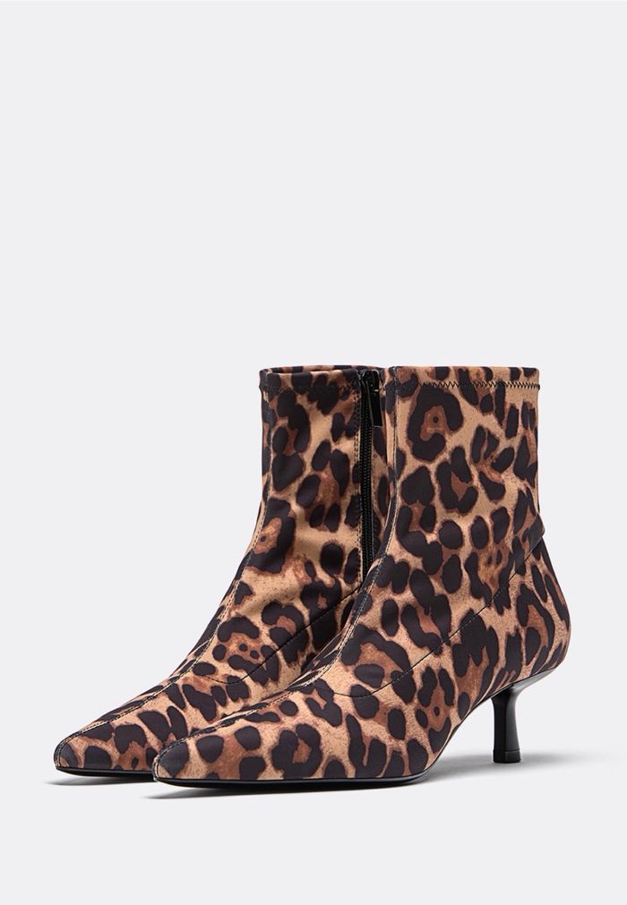 Stradivarius leopard