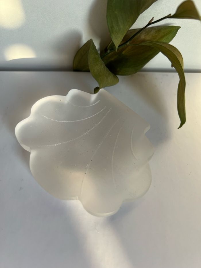 Хясаан селенит