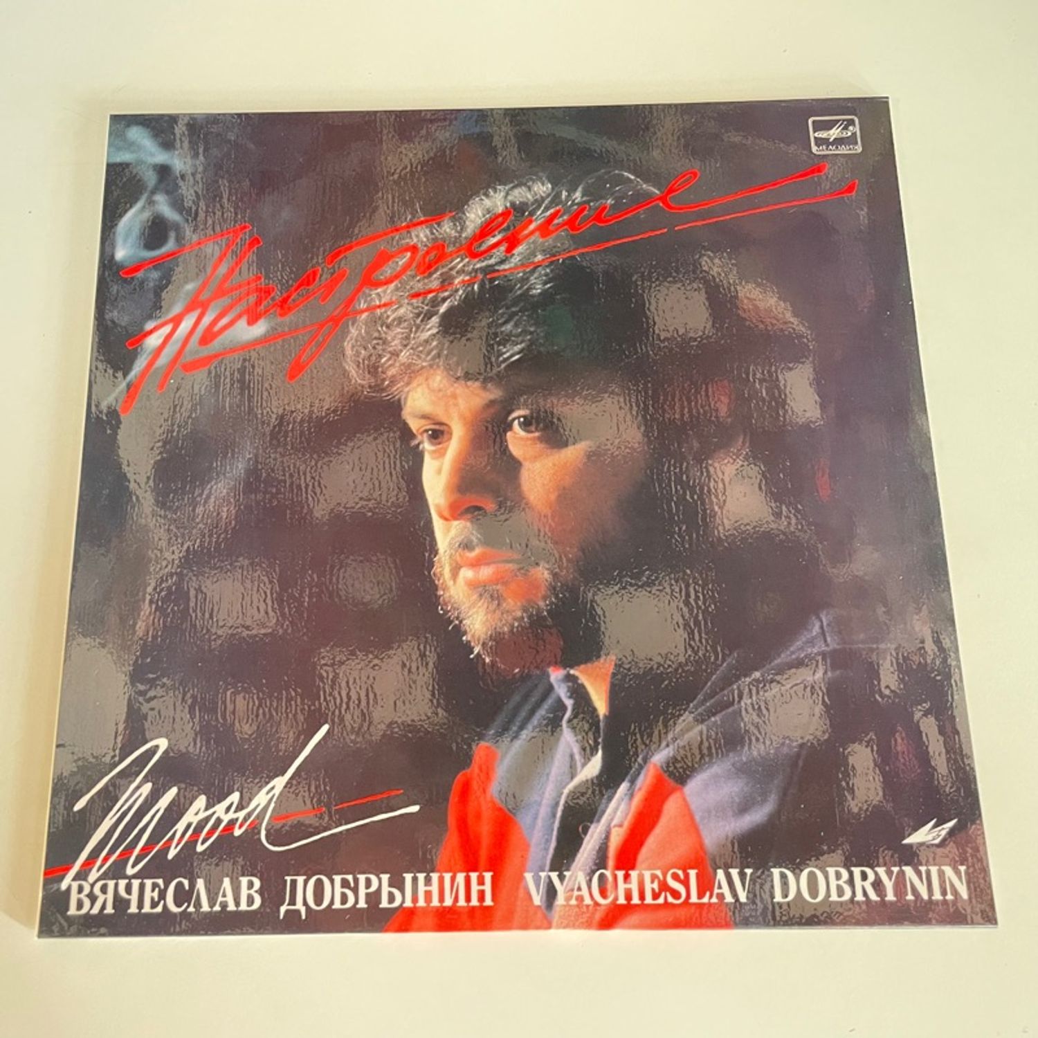 Вячеслав Добрынин – Настроение