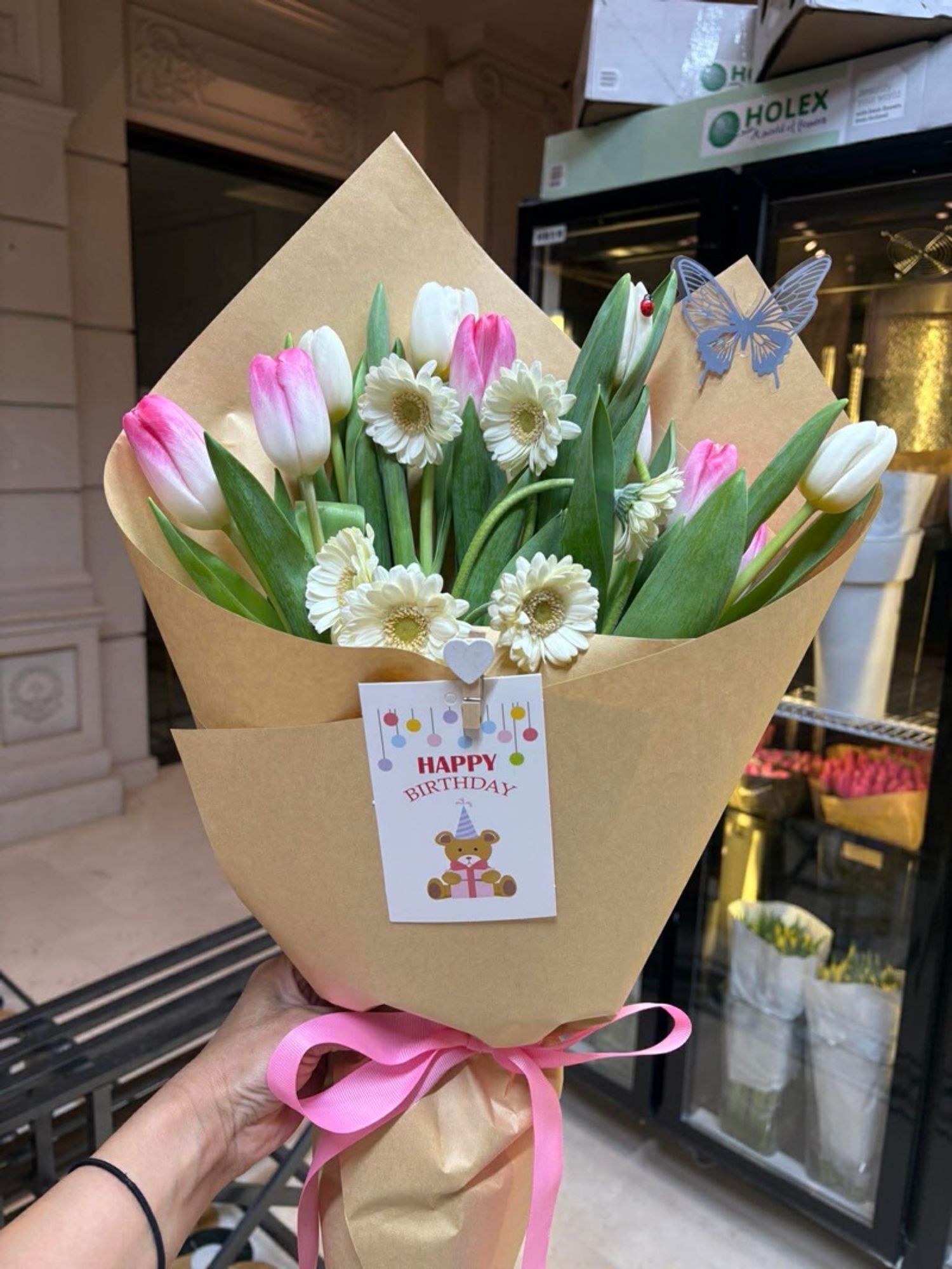 Голланд алтанзул мини гербера