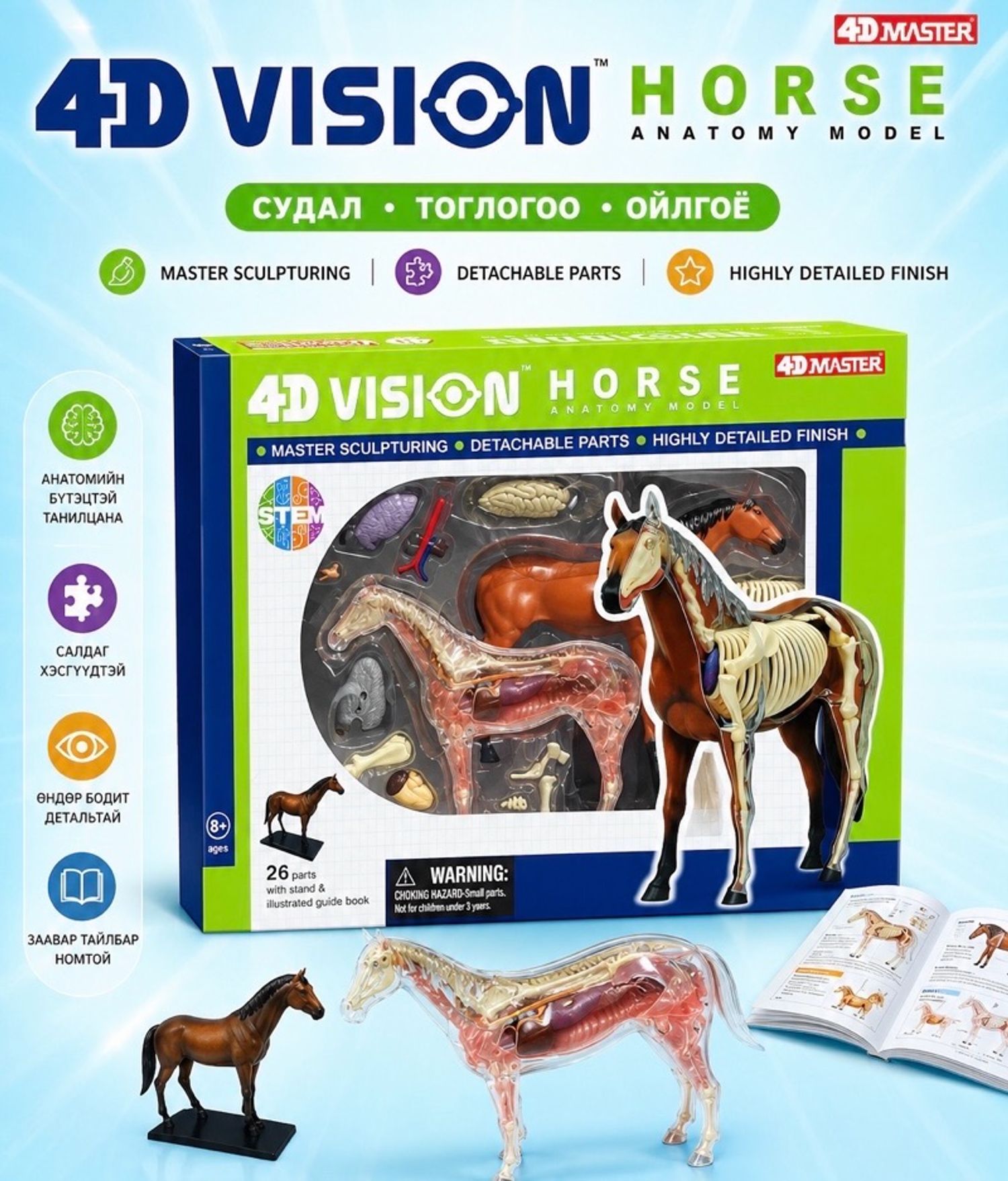 4D VISION HORSE