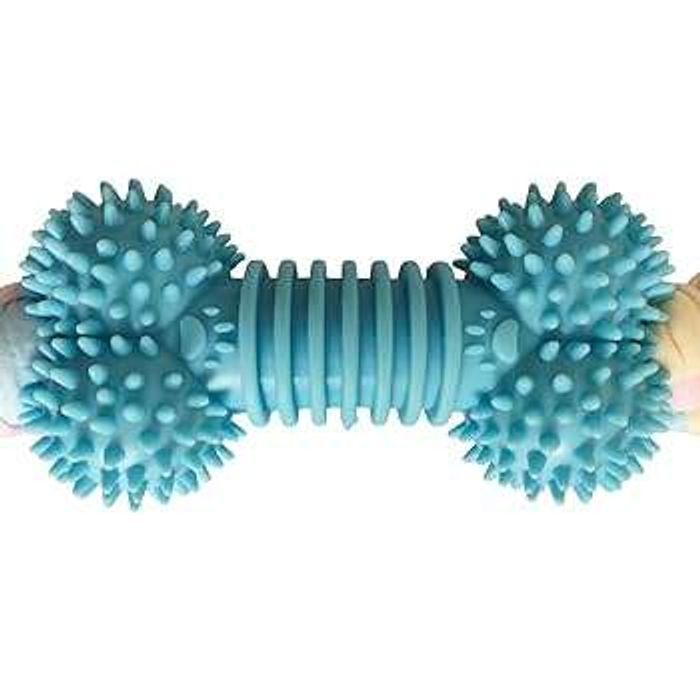 Шүдний загтнаа гаргагч тоглоом