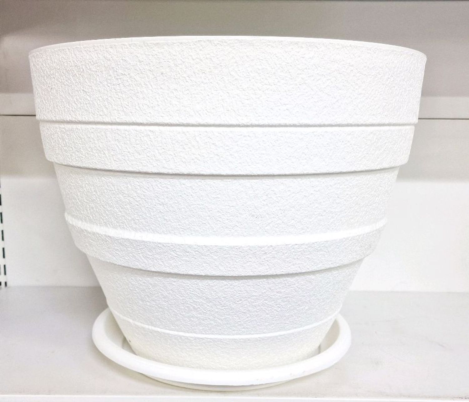 Цэцгийн сав (том, модлог ургамал)