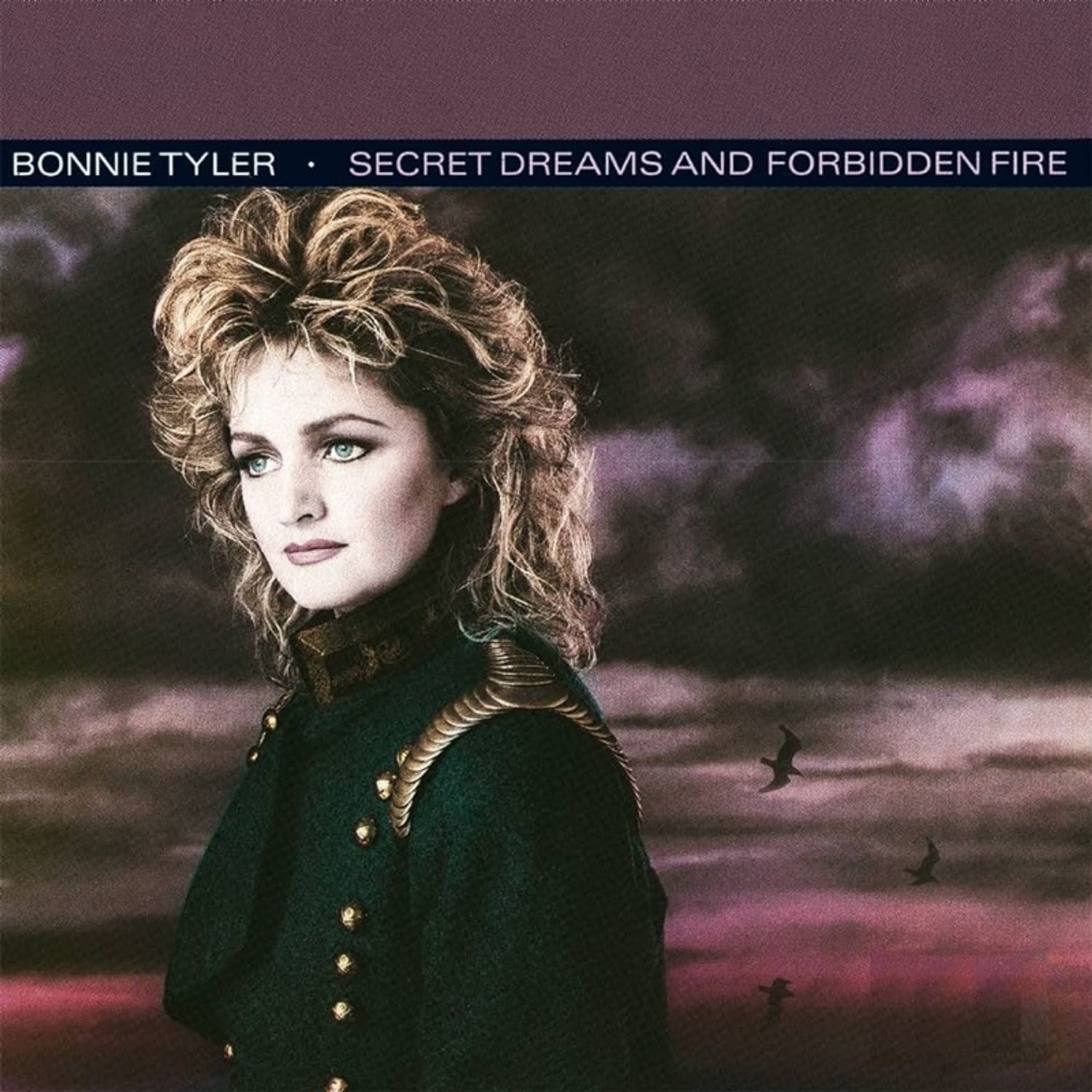 Bonnie Tyler - SECRET DREAMS AND