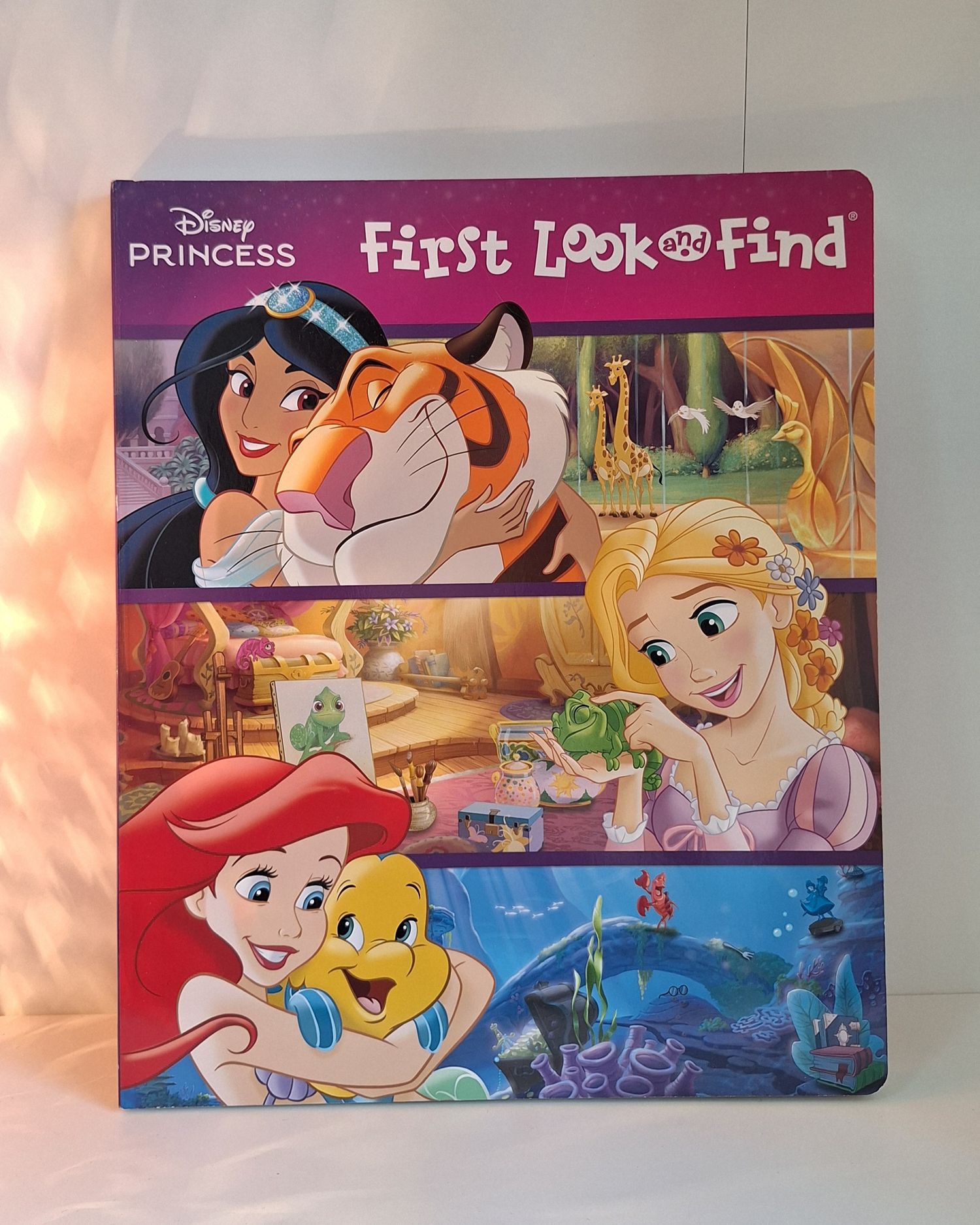 Disney Хайлтын ном 