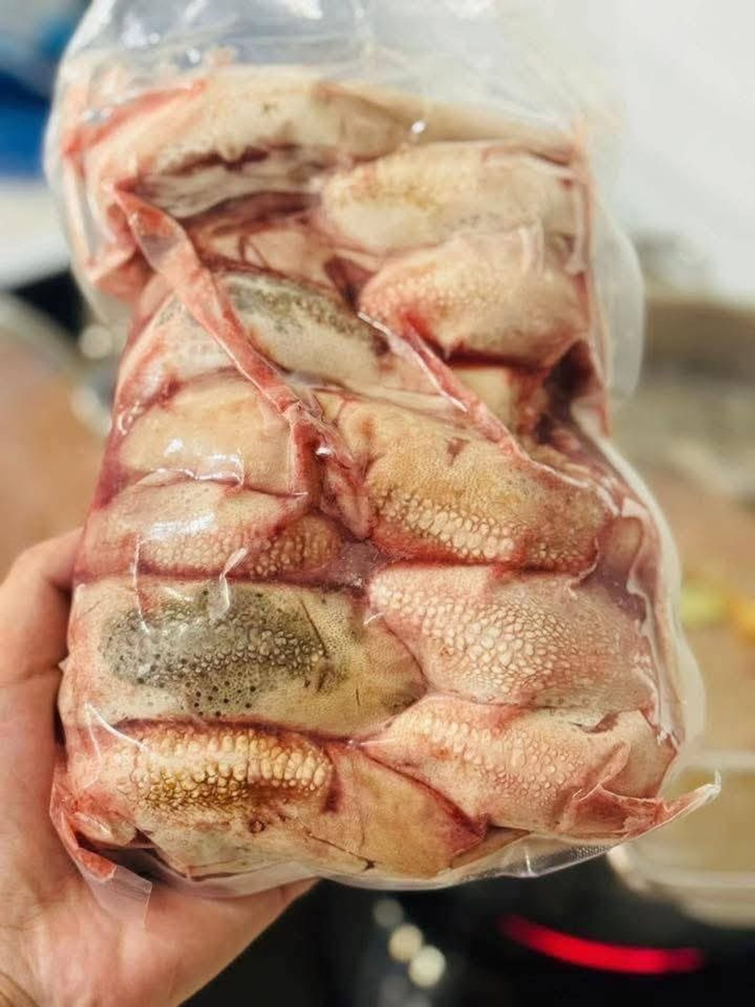 Судас булчирхайг нь авч цэвэрлэсэн хонины хэл😋
