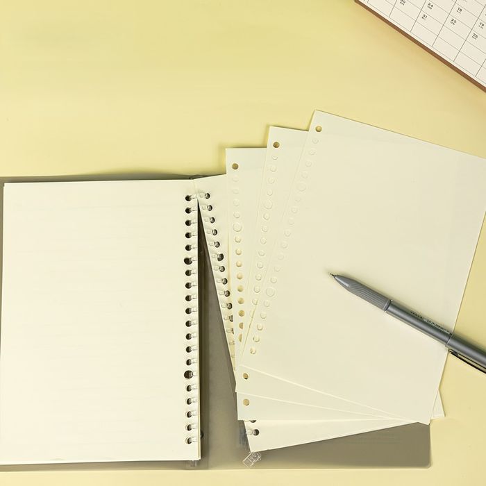 Тэмдэглэлийн дэвтэр запас DL NA560-1