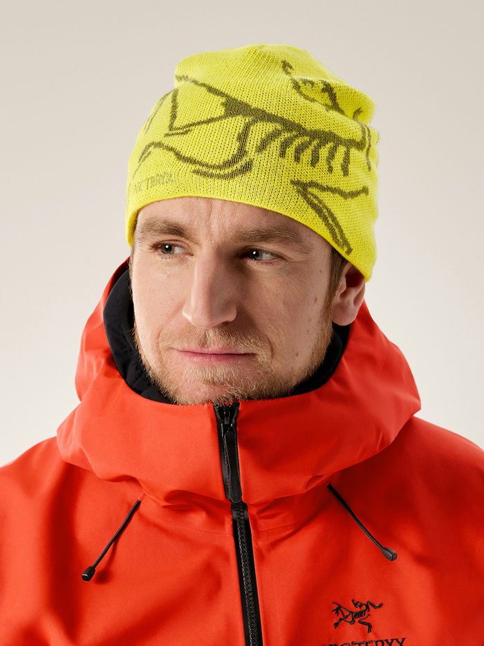 Arc'teryx | Bird Head Toque