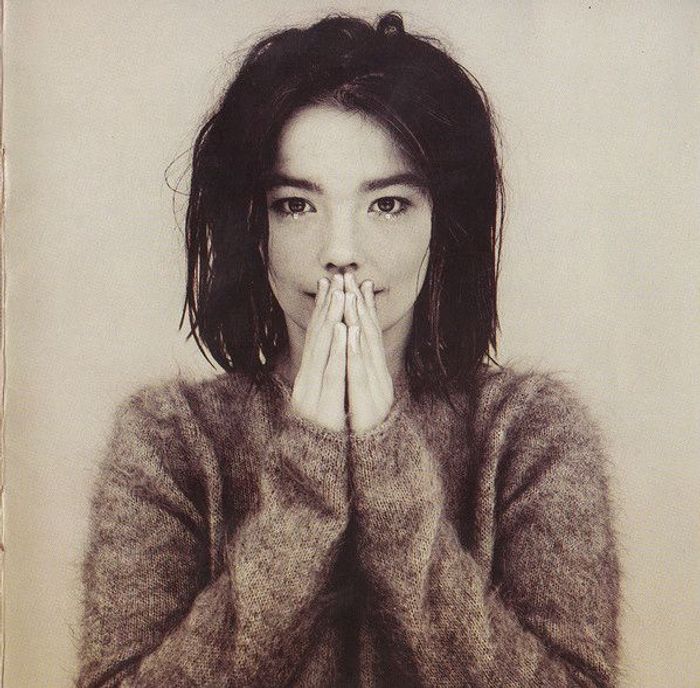 Bjork Debut 