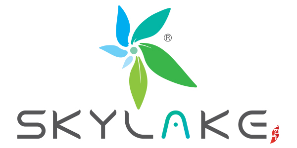 Skylake компаний түүх