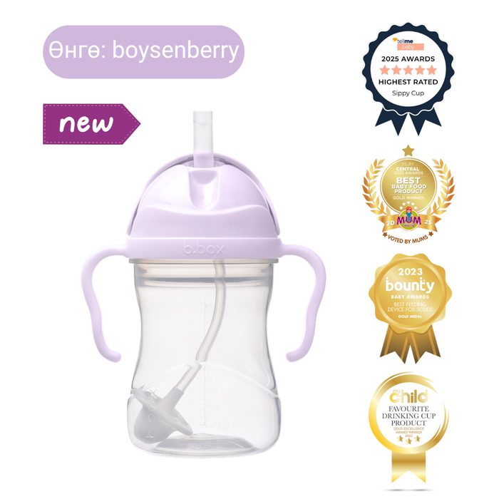 240мл Хүндрүүлэгчтэй аяга / Sippy cup - boysenberry
