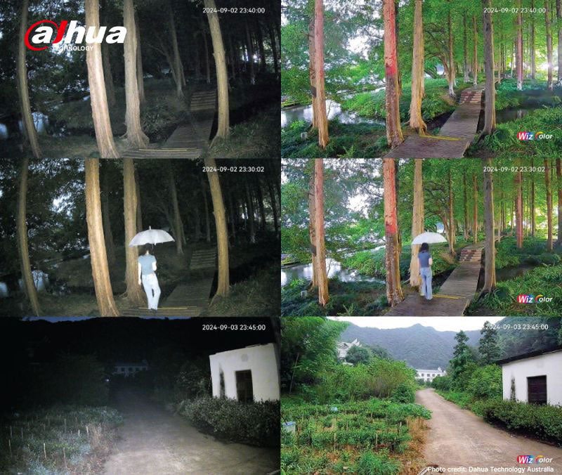 Dahua Wizcolor