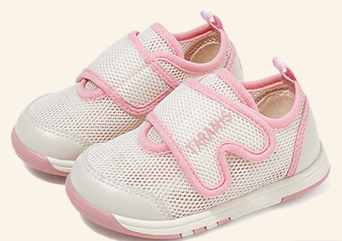 Сеткэн пүүз