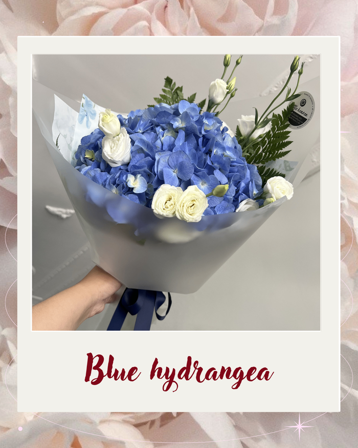 Blue hydrangea