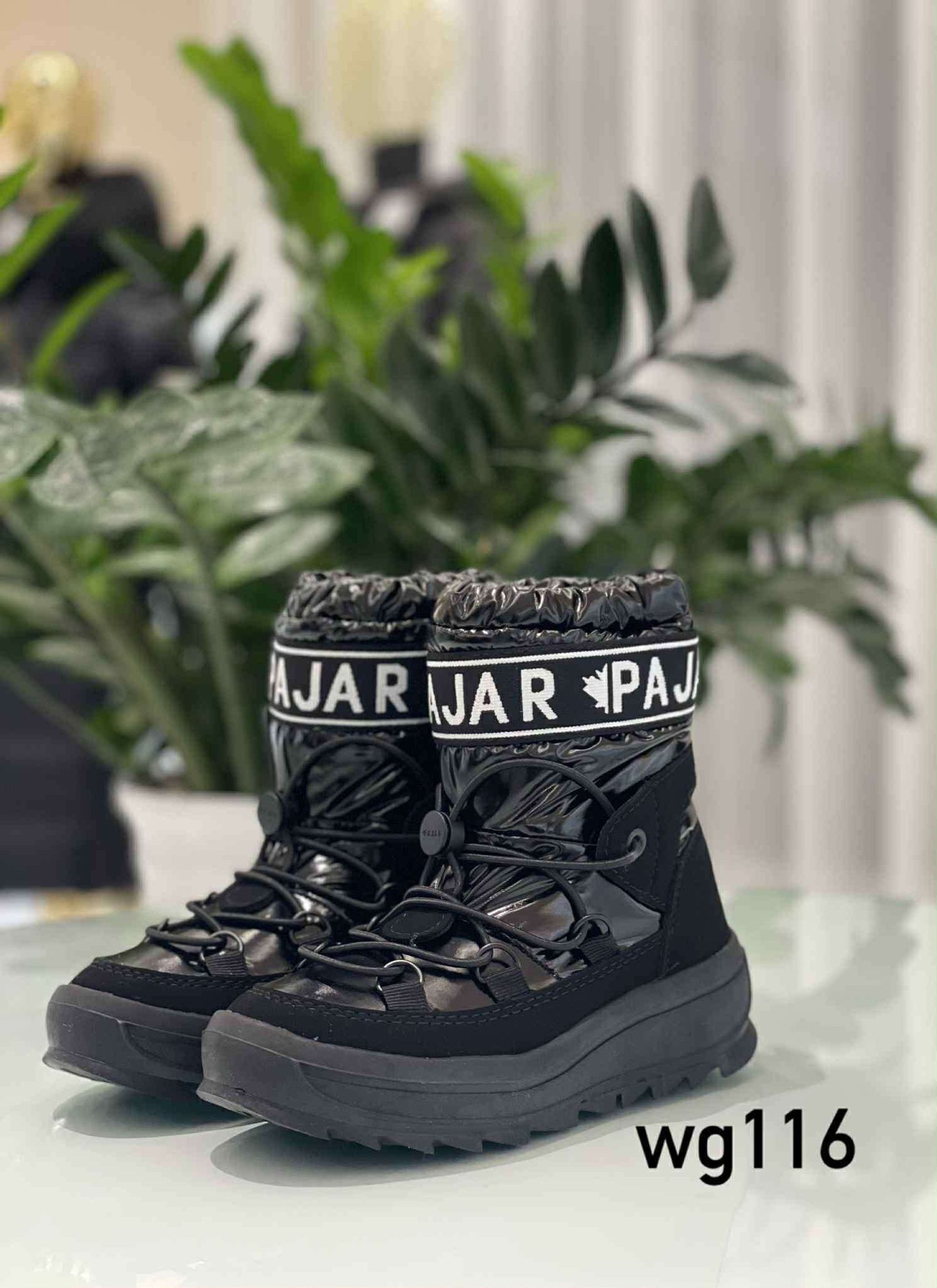 Pаjar/wg116/