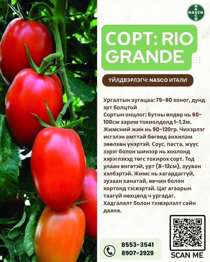  Улаан лоолийн үр /Rio Grande/ 100грамм