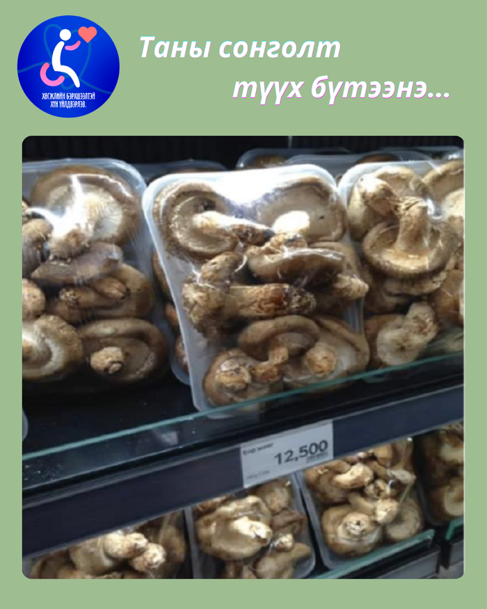 Мөөг үйлдвэрлэл