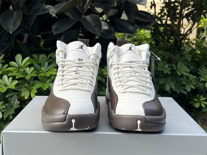 SoleFly x Air Jordan 12