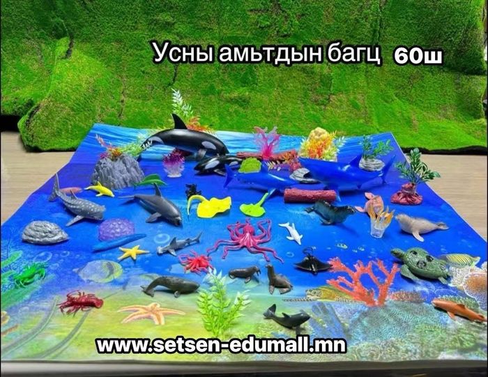 Усны амьтад 60ш ком