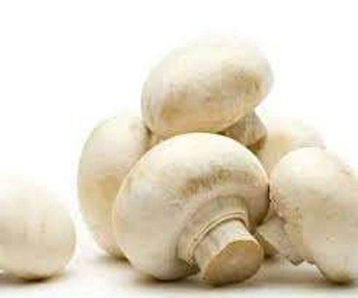 Цагаан мөөг 